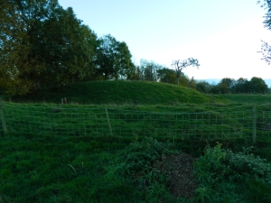 The motte at Leigh Castle Green. Note the large spoil heap at the bottom right, caused by animal burrowing; these surround the site from most directions.